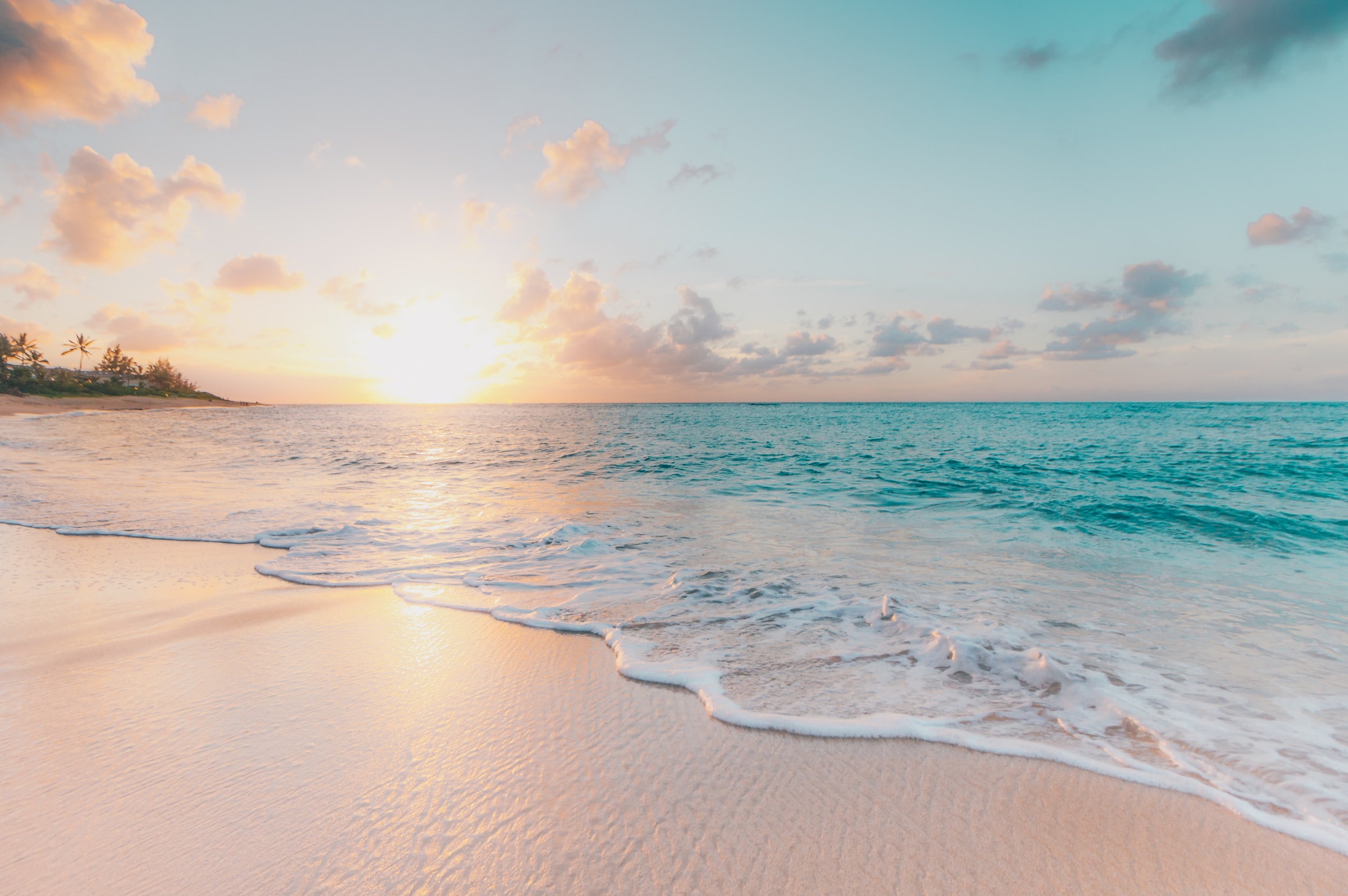 Main Image for All County Southern Shores Property Management