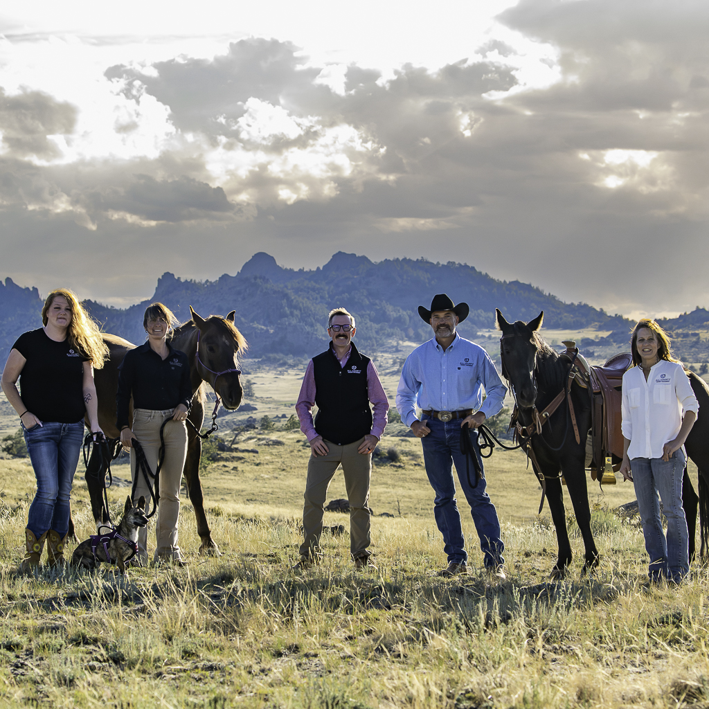 All County Cowboy Property Management Story Image