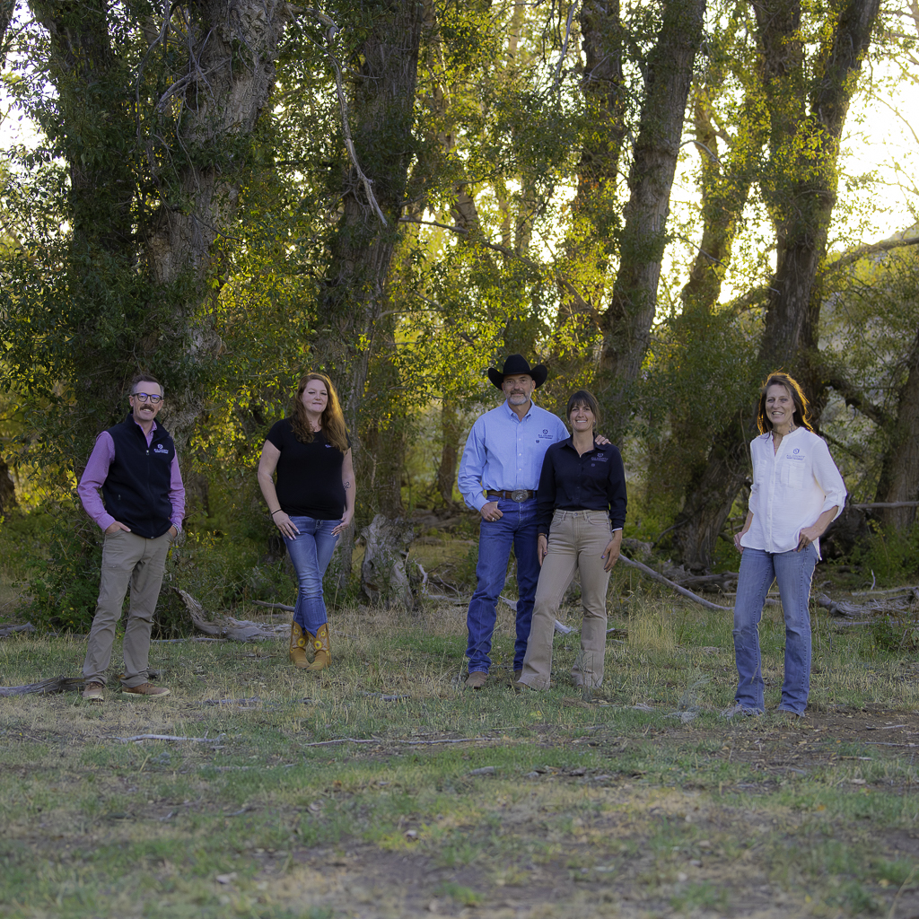 Main Image for All County Cowboy Property Management