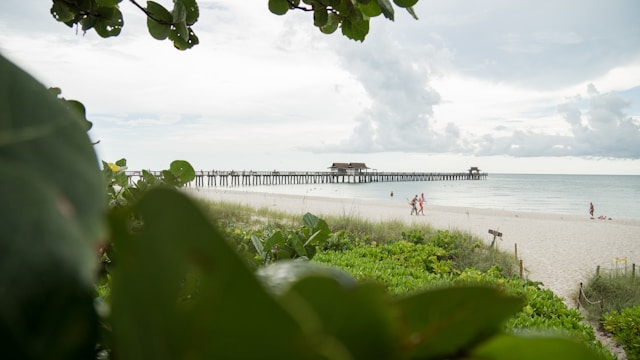 Belleair Area Image