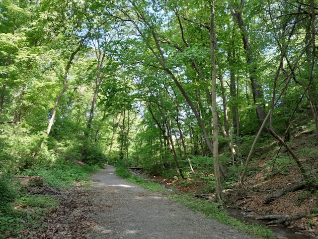 Macungie Area Image